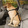 Kurgo Kurgo Enhanced Strength Tru-Fit Dog Car Harness - Veiligheidsharnas, verstelbaar op 5 plaatsen - in Zwart van XS tot XL Kurgo Kurgo Enhanced Strength Tru-Fit Dog Car Harness - Veiligheidsharnas, verstelbaar op 5 plaatsen - in Zwart van XS tot XL