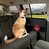 Kurgo Kurgo Door Guard - Beschermhoes voor Autodeuren - Zwart - Inhoud 2 stuks Kurgo Kurgo Door Guard - Beschermhoes voor Autodeuren - Zwart - Inhoud 2 stuks