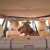 Kurgo Kurgo Autogordel Zip Line voor honden met bijgeleverde Riem - Houdt honden op de achterbank Kurgo Kurgo Autogordel Zip Line voor honden met bijgeleverde Riem - Houdt honden op de achterbank