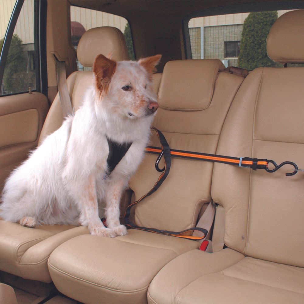 Autogordel Zip voor honden - Max&Luna