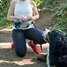 Kurgo Kurgo K9 Excursion - Hardloopriem voor Honden met extra zakken en waterfles - Heupomvang 73cm tot 114mm Kurgo Kurgo K9 Excursion - Hardloopriem voor Honden met extra zakken en waterfles - Heupomvang 73cm tot 114mm