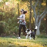 Kurgo Kurgo K9 Excursion - Hardloopriem voor Honden met extra zakken en waterfles - Heupomvang 73cm tot 114mm Kurgo Kurgo K9 Excursion - Hardloopriem voor Honden met extra zakken en waterfles - Heupomvang 73cm tot 114mm