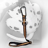 Kurgo Kurgo Direct to Seatbelt Tether - Veiligheidsriem voor Gordelhouder - Klik en klaar - Veilig onderweg - Oranje of Blauw Kurgo Kurgo Direct to Seatbelt Tether - Veiligheidsriem voor Gordelhouder - Klik en klaar - Veilig onderweg - Oranje of Blauw