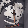 Kurgo Kurgo Direct to Seatbelt Tether - Veiligheidsriem voor Gordelhouder - Klik en klaar - Veilig onderweg - Oranje of Blauw Kurgo Kurgo Direct to Seatbelt Tether - Veiligheidsriem voor Gordelhouder - Klik en klaar - Veilig onderweg - Oranje of Blauw