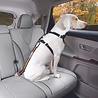 Kurgo Kurgo Direct to Seatbelt Tether - Veiligheidsriem voor Gordelhouder - Klik en klaar - Veilig onderweg - Oranje of Blauw Kurgo Kurgo Direct to Seatbelt Tether - Veiligheidsriem voor Gordelhouder - Klik en klaar - Veilig onderweg - Oranje of Blauw