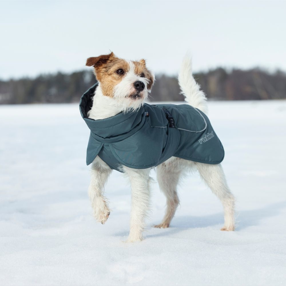 Slang barst uitlijning Rukka Pets Stormy Coat - Winterjas voor honden - Max&Luna