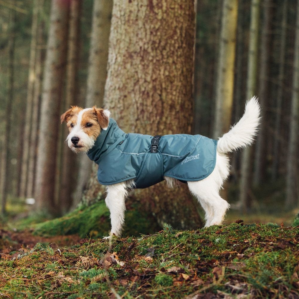Rukka Pets Stormy Coat - Winterjas voor honden -