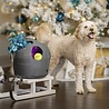 PetSafe Petsafe Automatische Ballenwerper - Inclusief 2 ballen - Instelbaar op 9 afstanden, bewegingsensoren en automatische uitschakeling PetSafe Petsafe Automatische Ballenwerper - Inclusief 2 ballen - Instelbaar op 9 afstanden, bewegingsensoren en automatische uitschakeling