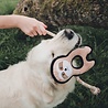 Beco Beco Pluche Luiaard - Hondenknuffel van Gerecycled Materiaal - Met Luide Pieper - Geschikt voor middelgrote honden - Medium Beco Beco Pluche Luiaard - Hondenknuffel van Gerecycled Materiaal - Met Luide Pieper - Geschikt voor middelgrote honden - Medium