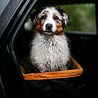 Kurgo Kurgo Skybox Booster Seat - Verhoogde autostoel met eenvoudige bevestiging voor kleine honden tot 13kg - Zwart/Oranje 30x40x20cm Kurgo Kurgo Skybox Booster Seat - Verhoogde autostoel met eenvoudige bevestiging voor kleine honden tot 13kg - Zwart/Oranje 30x40x20cm