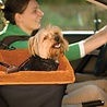 Kurgo Kurgo Skybox Booster Seat - Verhoogde autostoel met eenvoudige bevestiging voor kleine honden tot 13kg - Zwart/Oranje 30x40x20cm Kurgo Kurgo Skybox Booster Seat - Verhoogde autostoel met eenvoudige bevestiging voor kleine honden tot 13kg - Zwart/Oranje 30x40x20cm