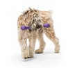 West Paw West Paw Zwig Zogoflex Echo - Flexibele Werpstok voor Honden - Ideaal voor Trekspel - Blijft Drijven - Groen, Oranje en Paars - 35 cm lang West Paw West Paw Zwig Zogoflex Echo - Flexibele Werpstok voor Honden - Ideaal voor Trekspel - Blijft Drijven - Groen, Oranje en Paars - 35 cm lang