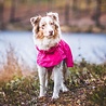 Rukka Pets Rukka Pets Hase Raincoat - Lichtgewicht hondenregenjas - in 2 kleuren en 9 maten Rukka Pets Rukka Pets Hase Raincoat - Lichtgewicht hondenregenjas - in 2 kleuren en 9 maten
