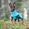 Rukka Pets Rukka Pets Hase Raincoat - Lichtgewicht hondenregenjas - in 2 kleuren en 9 maten Rukka Pets Rukka Pets Hase Raincoat - Lichtgewicht hondenregenjas - in 2 kleuren en 9 maten