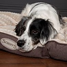Scruffs Scruffs Ellen Matras - Comfortabel hondenkussen - Roze, Beige of Bruin - 100 x 70 cm Scruffs Scruffs Ellen Matras - Comfortabel hondenkussen - Roze, Beige of Bruin - 100 x 70 cm