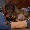 Scruffs Scruffs Highland Box Bed - Stevige Hondenmand van Hoogwaardige Chenille stof met anti-slip onderzijde - Blauw, Rood of Grijs in S/M/L/XL Scruffs Scruffs Highland Box Bed - Stevige Hondenmand van Hoogwaardige Chenille stof met anti-slip onderzijde - Blauw, Rood of Grijs in S/M/L/XL