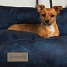 Scruffs Scruffs Kensington - Stijlvolle eco-suede mand voor hond of kat - Medium of Large - Blauw, Bruin, Grijs of Beige Scruffs Scruffs Kensington - Stijlvolle eco-suede mand voor hond of kat - Medium of Large - Blauw, Bruin, Grijs of Beige