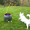 PetSafe Petsafe Automatische Ballenwerper - Inclusief 2 ballen - Instelbaar op 9 afstanden, bewegingsensoren en automatische uitschakeling PetSafe Petsafe Automatische Ballenwerper - Inclusief 2 ballen - Instelbaar op 9 afstanden, bewegingsensoren en automatische uitschakeling