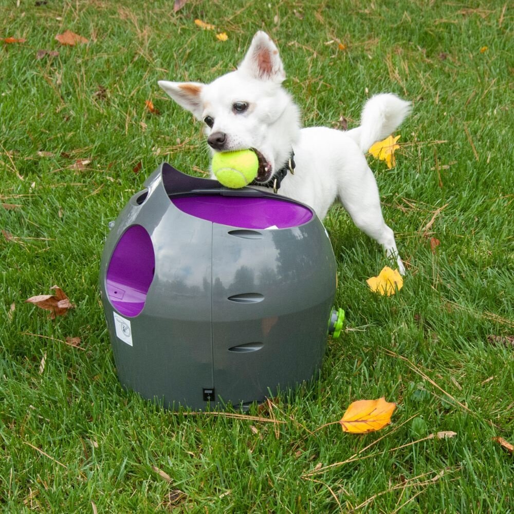 PetSafe Automatische Ballenwerper voor Honden Max Luna