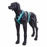 Rukka Pets Rukka Pets Form Y harnas - Verstelbaar hondentuig Y model - Zwart of Turquoise - XXS, XS, S, M, L Rukka Pets Rukka Pets Form Y harnas - Verstelbaar hondentuig Y model - Zwart of Turquoise - XXS, XS, S, M, L