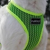 Rukka Pets Rukka Pets Comfort Air Harness - Lichtgewicht en Ademend Hondentuig - Ergonomisch design - Geel, Roze en Grijs - XS / S / M / L / XL Rukka Pets Rukka Pets Comfort Air Harness - Lichtgewicht en Ademend Hondentuig - Ergonomisch design - Geel, Roze en Grijs - XS / S / M / L / XL
