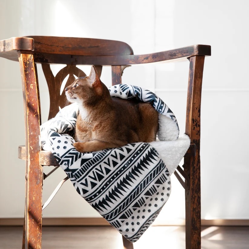 tempo woede Knipoog Aztec Soft Blanket - Fleece deken voor Hond en Kat - Max&Luna