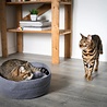 BeOneBreed Pet Cuddler - Knusse ronde mand voor katten en kleine hondjes - Grijs - Diameter 40 cm BeOneBreed Pet Cuddler - Knusse ronde mand voor katten en kleine hondjes - Grijs - Diameter 40 cm