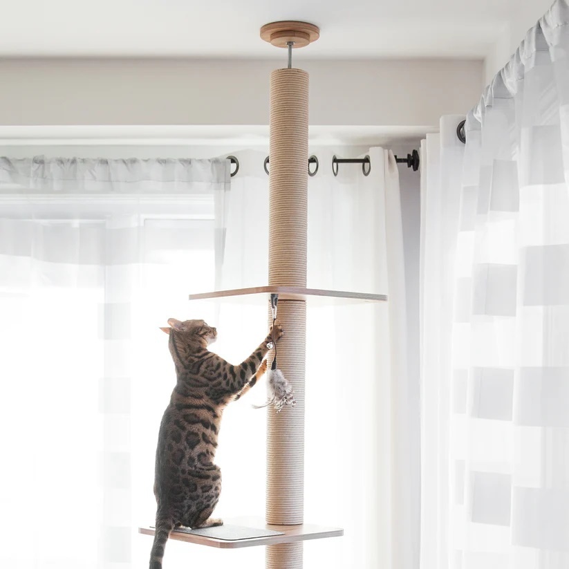 B.C. Kent Doodt BeOneBreed Katt3 EVO Tower - Krabpaal voor katten - Max&Luna