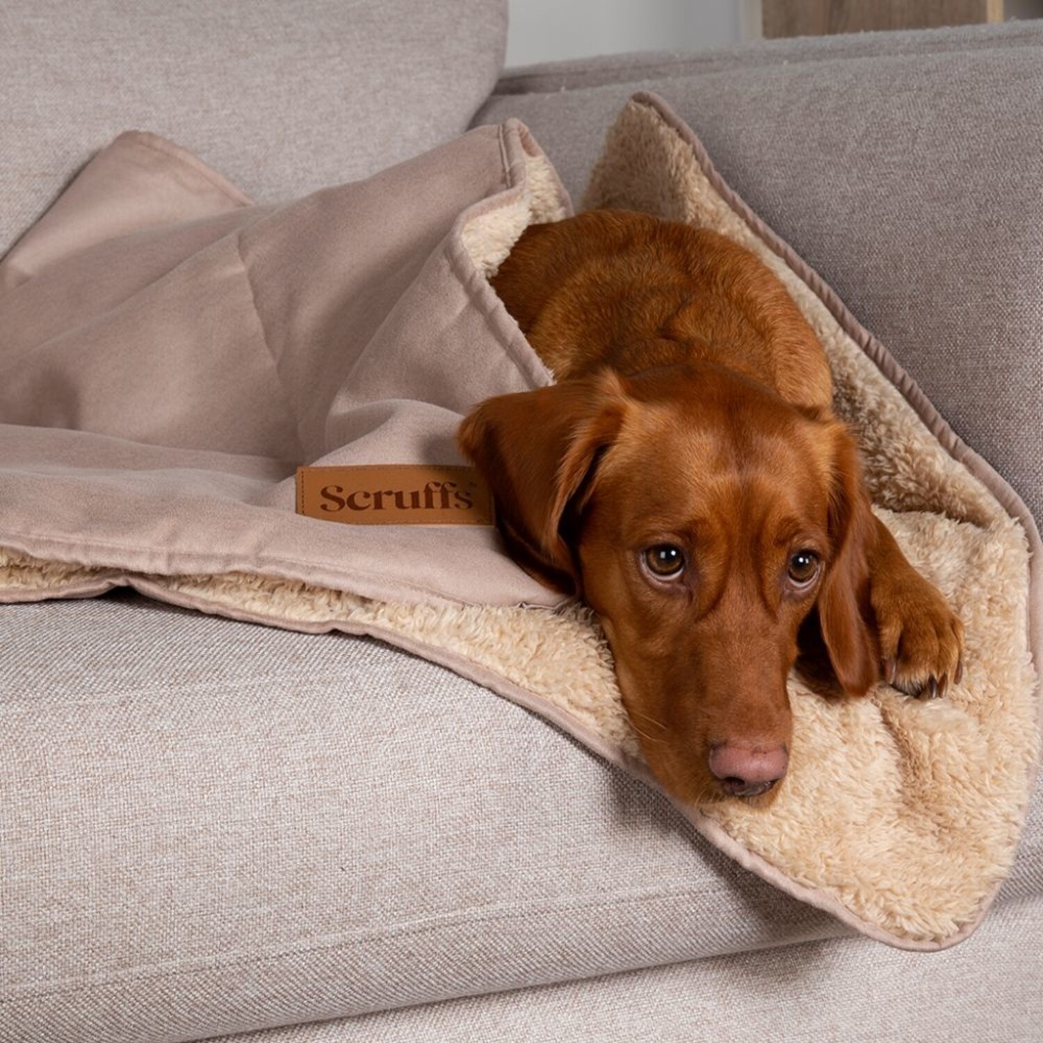 Scruffs Cosy Zachte hondendeken in diverse kleuren Max Luna