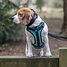 Rukka Pets Rukka Pets Solid Harnas - Gewatteerd hondentuig van Neopreen - Met Veiligheidsslot en Grijphandvat - Zwart of Turquoise - Maat XS t/m XL Rukka Pets Rukka Pets Solid Harnas - Gewatteerd hondentuig van Neopreen - Met Veiligheidsslot en Grijphandvat - Zwart of Turquoise - Maat XS t/m XL