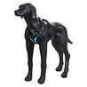 Rukka Pets Rukka Pets Solid Harnas - Gewatteerd hondentuig van Neopreen - Met Veiligheidsslot en Grijphandvat - Zwart of Turquoise - Maat XS t/m XL Rukka Pets Rukka Pets Solid Harnas - Gewatteerd hondentuig van Neopreen - Met Veiligheidsslot en Grijphandvat - Zwart of Turquoise - Maat XS t/m XL