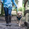 Rukka Pets Rukka Pets Solid Harnas - Gewatteerd hondentuig van Neopreen - Met Veiligheidsslot en Grijphandvat - Zwart of Turquoise - Maat XS t/m XL Rukka Pets Rukka Pets Solid Harnas - Gewatteerd hondentuig van Neopreen - Met Veiligheidsslot en Grijphandvat - Zwart of Turquoise - Maat XS t/m XL
