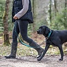 Rukka Pets Rukka Pets Solid Collar - Lichtgewicht halsband voor honden - Gewatteerd met Neopreen - Met Veiligheidsslot - Zwart of Turquoise - Maat XS/S/M/L Rukka Pets Rukka Pets Solid Collar - Lichtgewicht halsband voor honden - Gewatteerd met Neopreen - Met Veiligheidsslot - Zwart of Turquoise - Maat XS/S/M/L