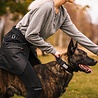 Rukka Pets Rukka Pets Trainingschort - Ideaal tijdens het trainen van je pup - Waterproof - Unisex -Zwart - Maat XS t/m XXL Rukka Pets Rukka Pets Trainingschort - Ideaal tijdens het trainen van je pup - Waterproof - Unisex -Zwart - Maat XS t/m XXL
