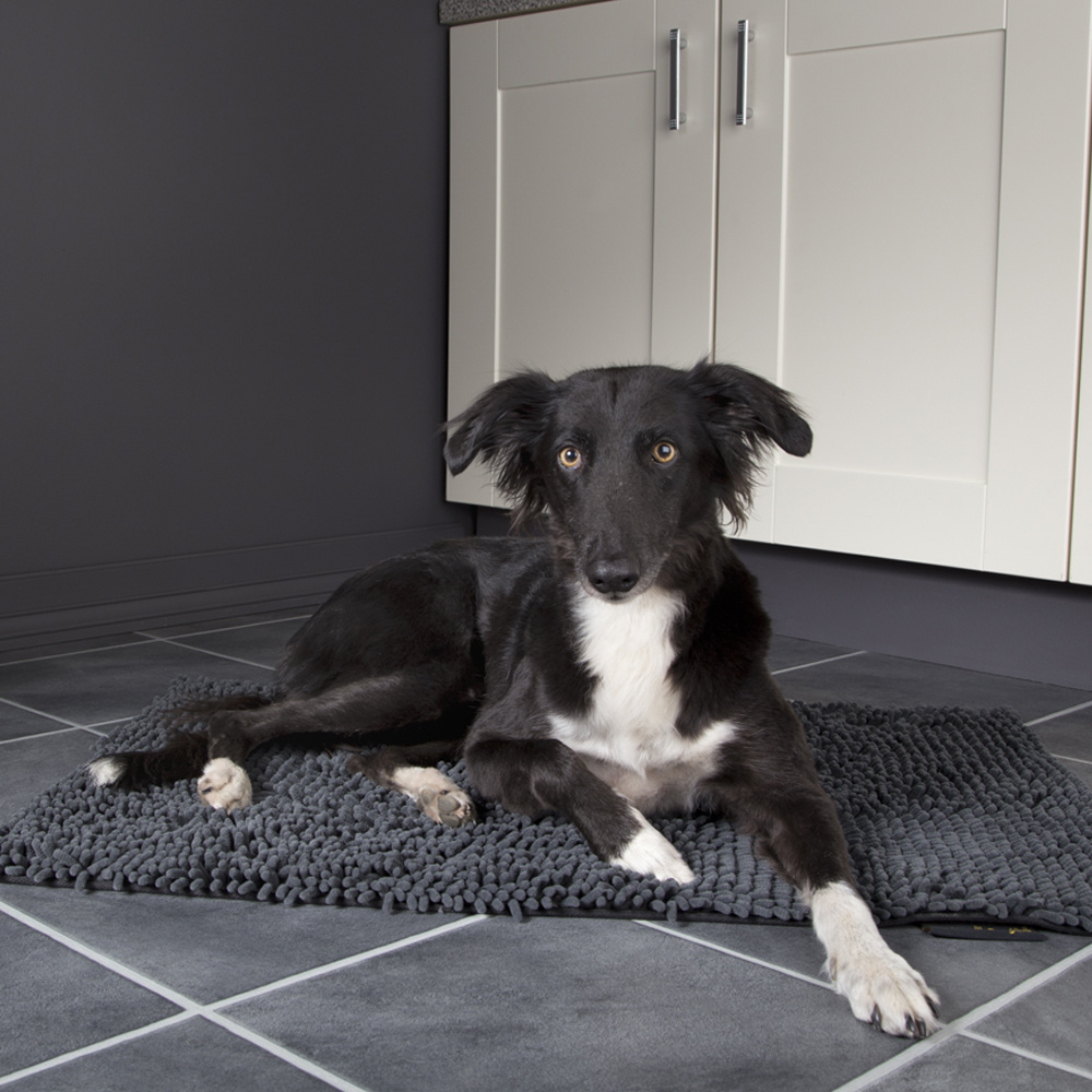 Portret gemakkelijk te kwetsen In de naam Scruffs Noodle Dry Mat - Absorberende droogmat voor honden - Max&Luna