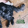 Beco Beco Bamboo Dog Wipes - Vochtige reinigingsdoekjes voor honden - Hypoallergeen - Reinigt vacht, poten en snoetjes - Inhoud 80 stuks Beco Beco Bamboo Dog Wipes - Vochtige reinigingsdoekjes voor honden - Hypoallergeen - Reinigt vacht, poten en snoetjes - Inhoud 80 stuks