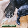Beco Beco Bamboo Dog Wipes - Vochtige reinigingsdoekjes voor honden - Hypoallergeen - Reinigt vacht, poten en snoetjes - Inhoud 80 stuks Beco Beco Bamboo Dog Wipes - Vochtige reinigingsdoekjes voor honden - Hypoallergeen - Reinigt vacht, poten en snoetjes - Inhoud 80 stuks