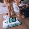 Beco Beco Bamboo Dog Wipes - Vochtige reinigingsdoekjes voor honden - Hypoallergeen - Reinigt vacht, poten en snoetjes - Inhoud 80 stuks Beco Beco Bamboo Dog Wipes - Vochtige reinigingsdoekjes voor honden - Hypoallergeen - Reinigt vacht, poten en snoetjes - Inhoud 80 stuks