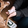 Beco Beco Bamboo Dog Wipes - Vochtige reinigingsdoekjes voor honden – Geparfumeerd met Kokosgeur - Reinigt vacht, poten en snoetjes - Inhoud 80 stuks Beco Beco Bamboo Dog Wipes - Vochtige reinigingsdoekjes voor honden – Geparfumeerd met Kokosgeur - Reinigt vacht, poten en snoetjes - Inhoud 80 stuks