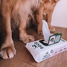 Beco Beco Bamboo Dog Wipes - Vochtige reinigingsdoekjes voor honden – Geparfumeerd met Kokosgeur - Reinigt vacht, poten en snoetjes - Inhoud 80 stuks Beco Beco Bamboo Dog Wipes - Vochtige reinigingsdoekjes voor honden – Geparfumeerd met Kokosgeur - Reinigt vacht, poten en snoetjes - Inhoud 80 stuks