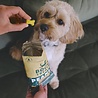 Beco Beco Peanut Treats - Energieverhogende Hondenkoekjes - Graanvrij - Boordevol Plantaardige Eiwitten - Inhoud 70 gram Beco Beco Peanut Treats - Energieverhogende Hondenkoekjes - Graanvrij - Boordevol Plantaardige Eiwitten - Inhoud 70 gram