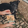 Beco Beco Peanut Treats - Energieverhogende Hondenkoekjes - Graanvrij - Boordevol Plantaardige Eiwitten - Inhoud 70 gram Beco Beco Peanut Treats - Energieverhogende Hondenkoekjes - Graanvrij - Boordevol Plantaardige Eiwitten - Inhoud 70 gram