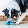 Nylabone Nylabone Extreme kauwbot voor honden tot 23 kg - Rundvleessmaak - Large Nylabone Nylabone Extreme kauwbot voor honden tot 23 kg - Rundvleessmaak - Large