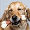Nylabone Nylabone Extreme kauwbot voor honden - Dijbeen met Rundvleessmaak - Voor de Krachtigste Kauwers - M of XL Nylabone Nylabone Extreme kauwbot voor honden - Dijbeen met Rundvleessmaak - Voor de Krachtigste Kauwers - M of XL