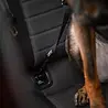 Rukka Pets Rukka Pets Car Seatbelt Clip - Isofix autogordel voor honden - Maat S/M/L Rukka Pets Rukka Pets Car Seatbelt Clip - Isofix autogordel voor honden - Maat S/M/L