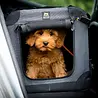 Maelson Maelson Soft Kennel - Hondenbench van zacht materiaal - Opvouwbare kennel met stevig stalen binnenframe - Zwart/antraciet - XXS t/m XXL Maelson Maelson Soft Kennel - Hondenbench van zacht materiaal - Opvouwbare kennel met stevig stalen binnenframe - Zwart/antraciet - XXS t/m XXL