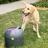 PetSafe Petsafe Automatische Ballenwerper - Inclusief 2 ballen - Instelbaar op 9 afstanden, bewegingsensoren en automatische uitschakeling PetSafe Petsafe Automatische Ballenwerper - Inclusief 2 ballen - Instelbaar op 9 afstanden, bewegingsensoren en automatische uitschakeling