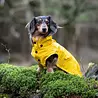 Rukka Pets Rukka Pets Stream Raincoat - Trendy gele hondenregenjas - Opening voor riem of harnas - Afneembare capuchon - In 11 maten Rukka Pets Rukka Pets Stream Raincoat - Trendy gele hondenregenjas - Opening voor riem of harnas - Afneembare capuchon - In 11 maten