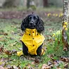 Rukka Pets Rukka Pets Stream Raincoat - Trendy gele hondenregenjas - Opening voor riem of harnas - Afneembare capuchon - In 11 maten Rukka Pets Rukka Pets Stream Raincoat - Trendy gele hondenregenjas - Opening voor riem of harnas - Afneembare capuchon - In 11 maten