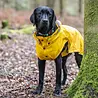 Rukka Pets Rukka Pets Stream Raincoat - Trendy gele hondenregenjas - Opening voor riem of harnas - Afneembare capuchon - In 11 maten Rukka Pets Rukka Pets Stream Raincoat - Trendy gele hondenregenjas - Opening voor riem of harnas - Afneembare capuchon - In 11 maten